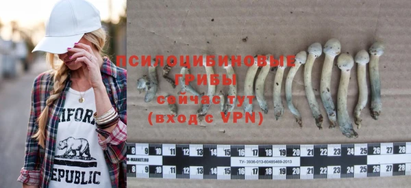 мет Арсеньев