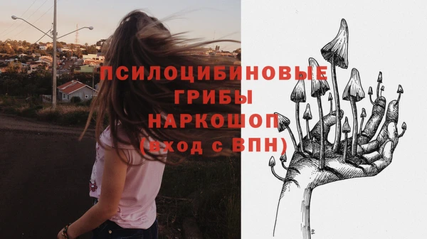 молекула духа Армянск